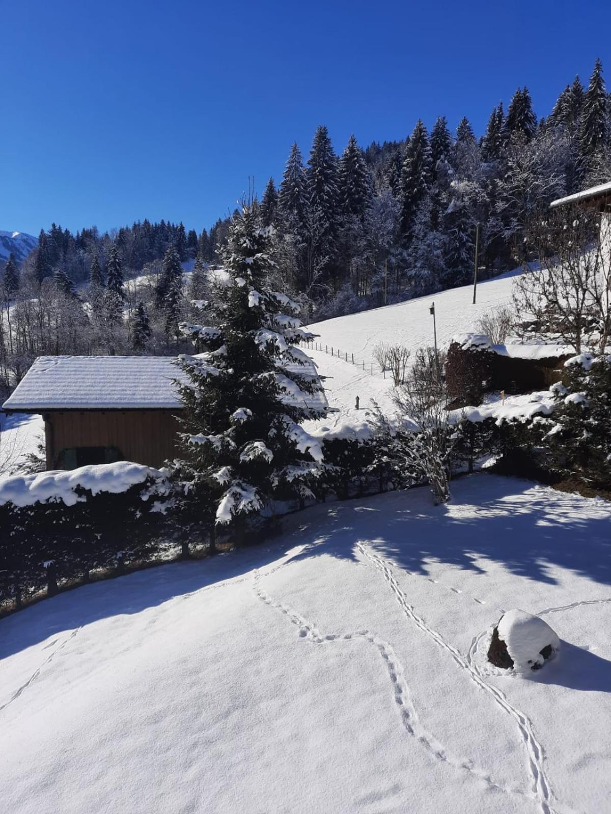 Hotel Berghof Mehlan Fischen im Allgäu Zimmer foto